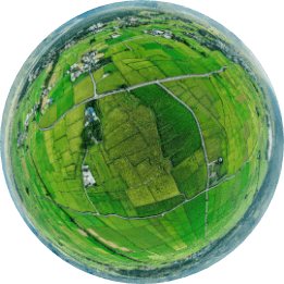 池上新開園老田文化景觀區 VR